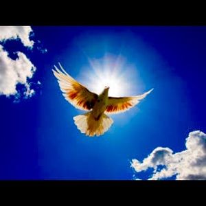 Meet your Posher, Regina